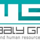 Elmaaly Group