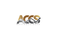 Access Capital Consulting Services