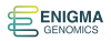 Enigma genomics