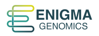 Enigma genomics