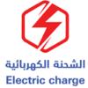 الشحنة الكهربائية للتجارة